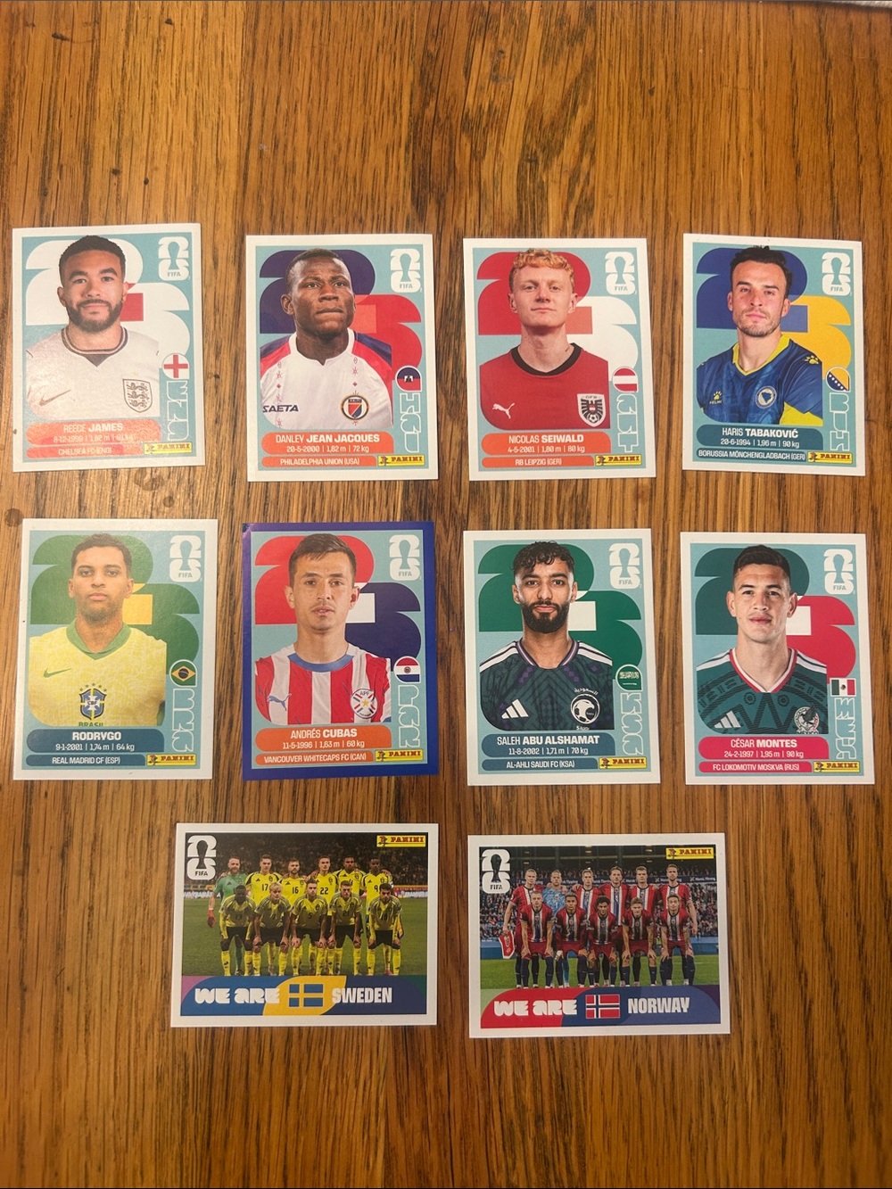 Panini Soccer Sticker Collection